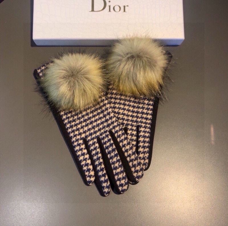 Christian Dior Gloves